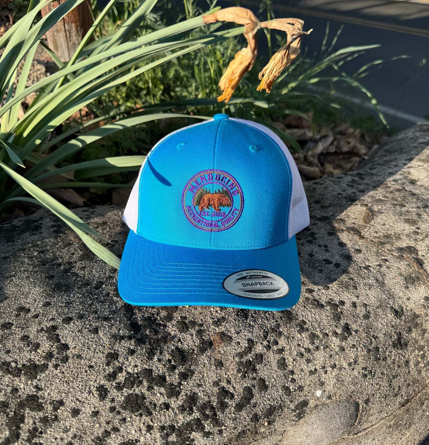 Pink and Rose Pink MRQ Hat
